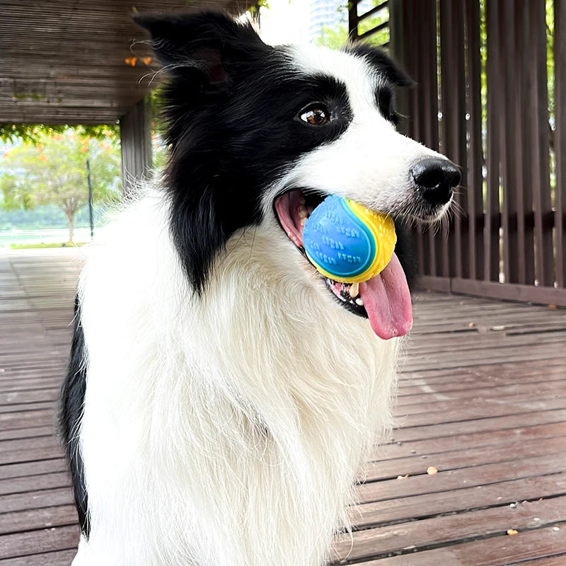 CURAPETS Squeaky TPR Dog Ball Toy