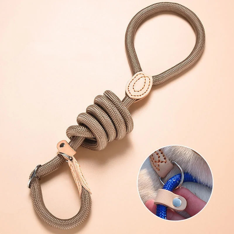 CURAPETS Braided Slip Rope Training Leash