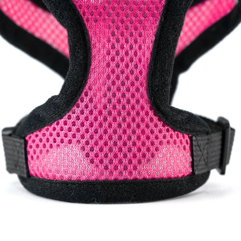 CURAPETS AirLite Summer Pet Harness & Leash Set