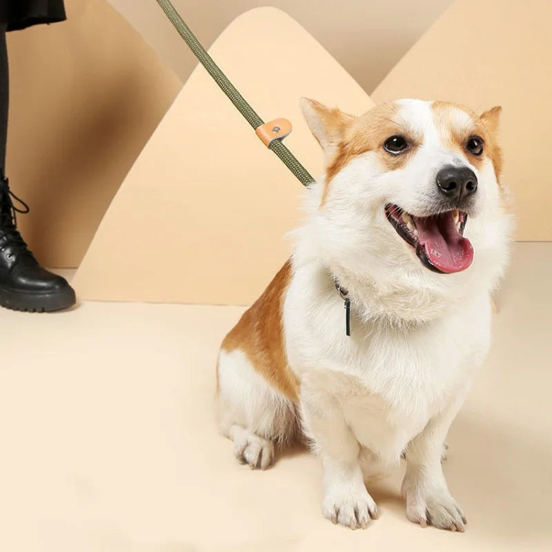 CURAPETS Braided Slip Rope Training Leash