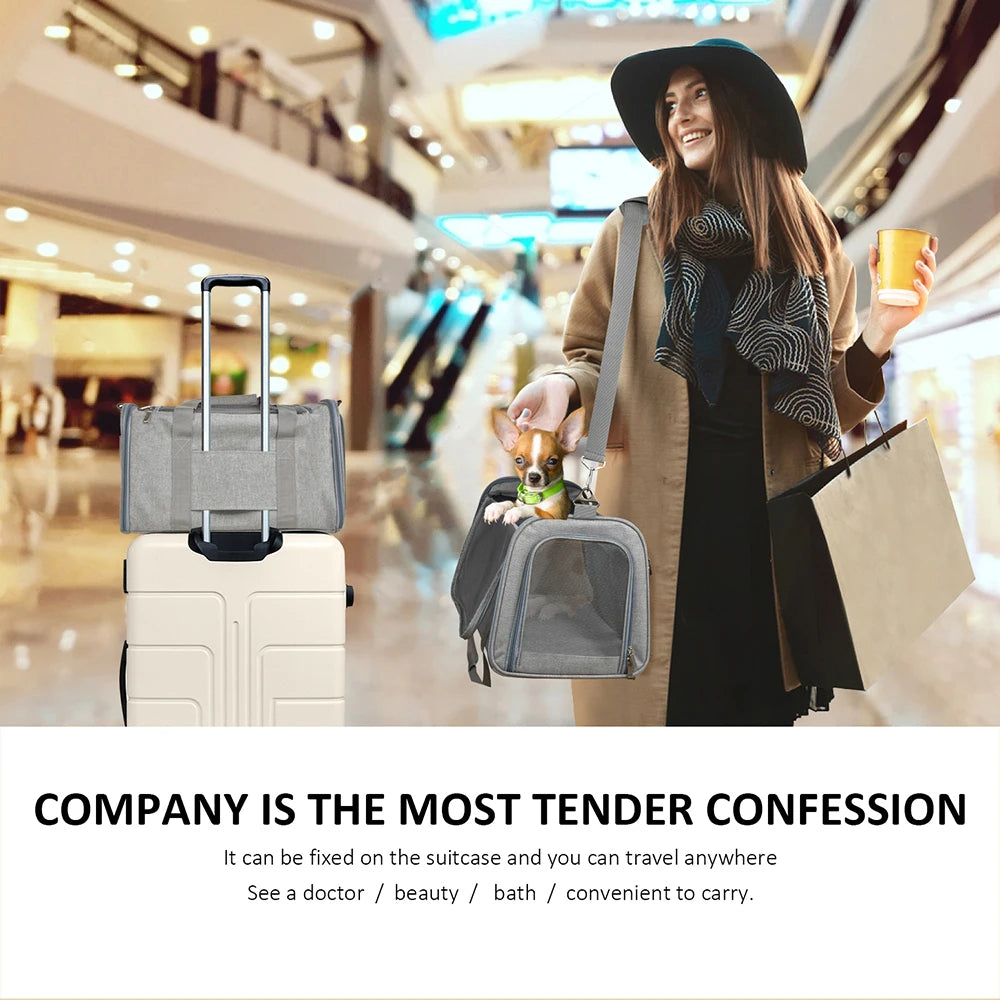 CURAPETS Claw-Defense Airline Pet Carrier