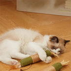 CURAPETS Smart Sounding Catnip Ball Toy