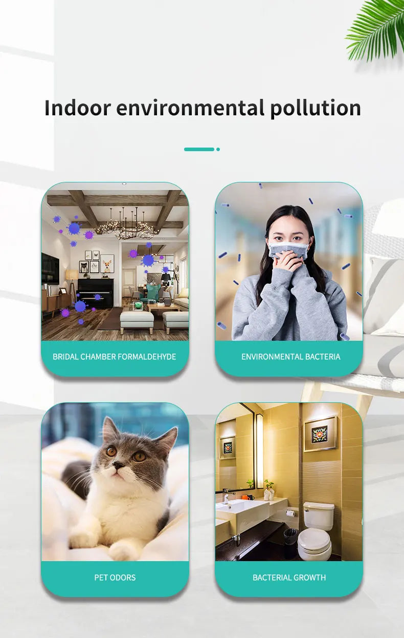 CURAPETS Plug-In Negative Ion Air Purifier
