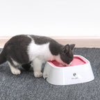 CURAPETS Duo Pet Feeding Bowl Set