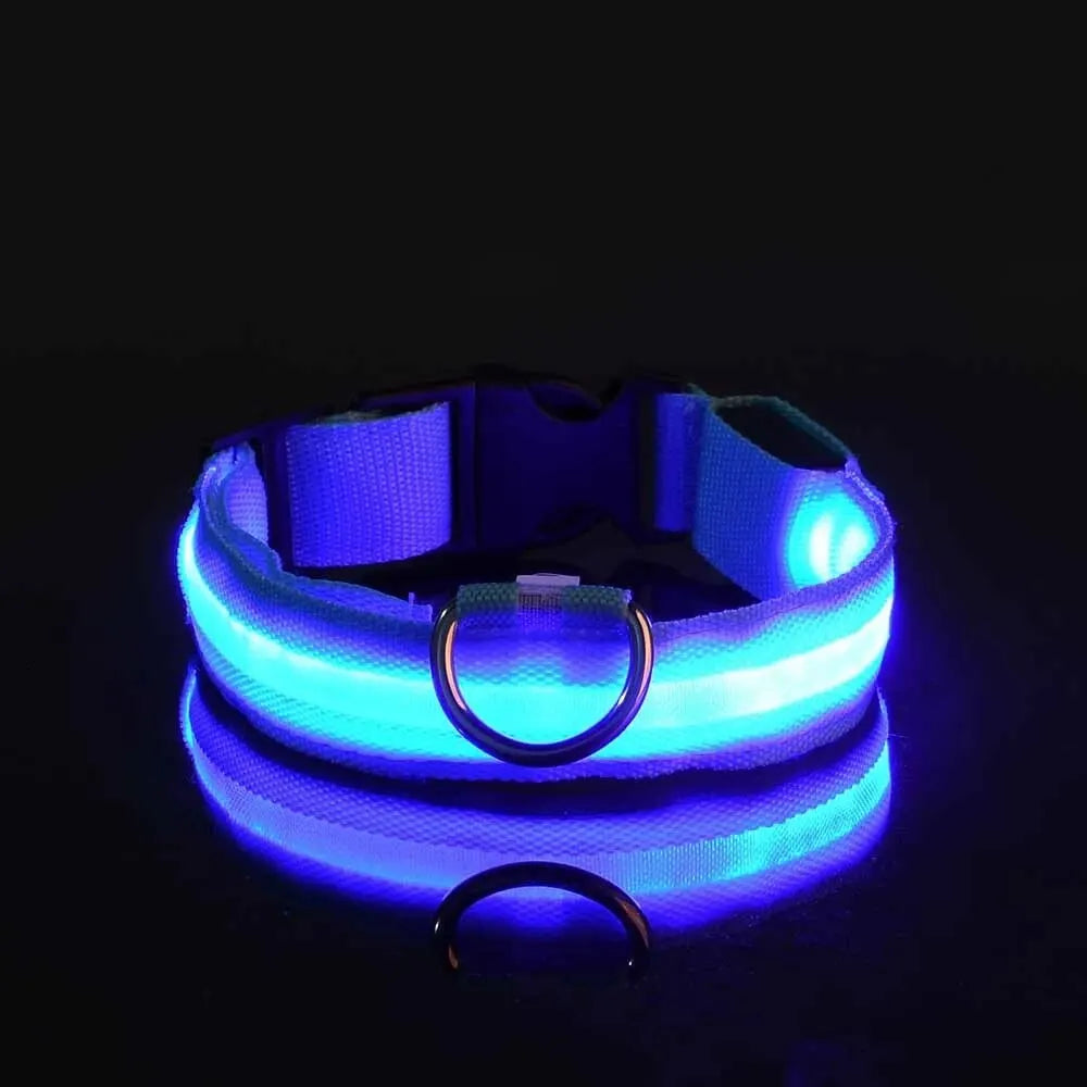 CURAPETS Luminous LED Night Safety Collar