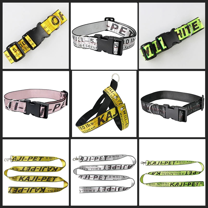 CURAPETS Everyday Harness & Leash Set