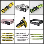 CURAPETS Everyday Harness & Leash Set