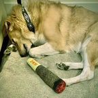 CURAPETS Plush Squeaky Cigar Dog Toy