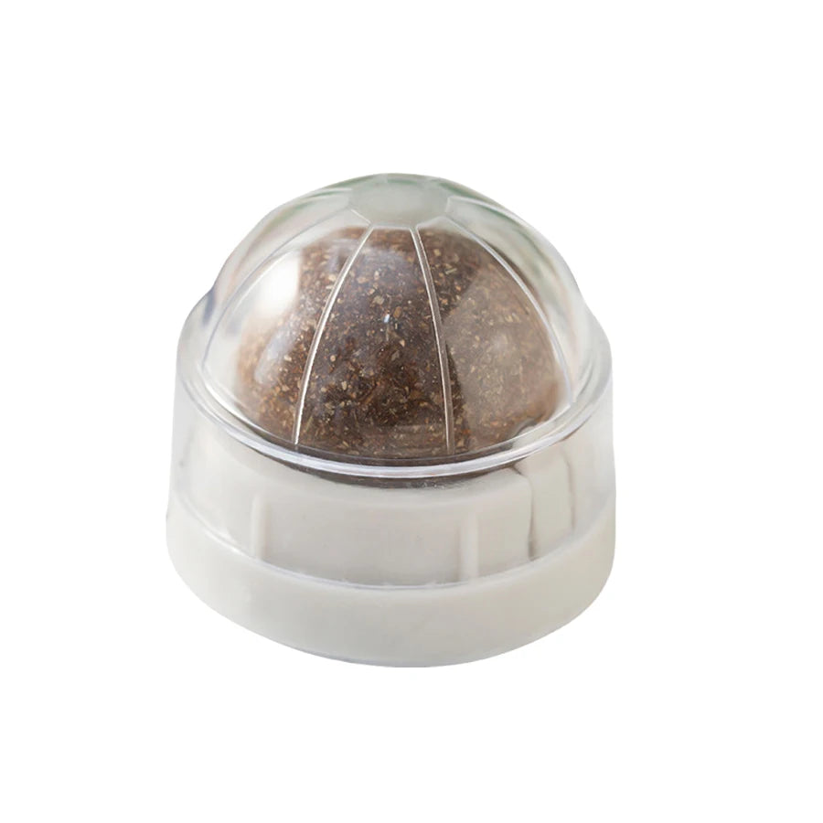 CURAPETS Spinning Catnip Dental Toy