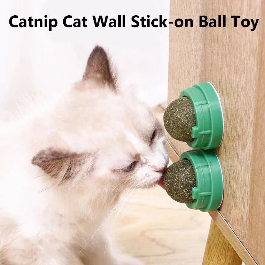 CURAPETS Spinning Catnip Dental Toy