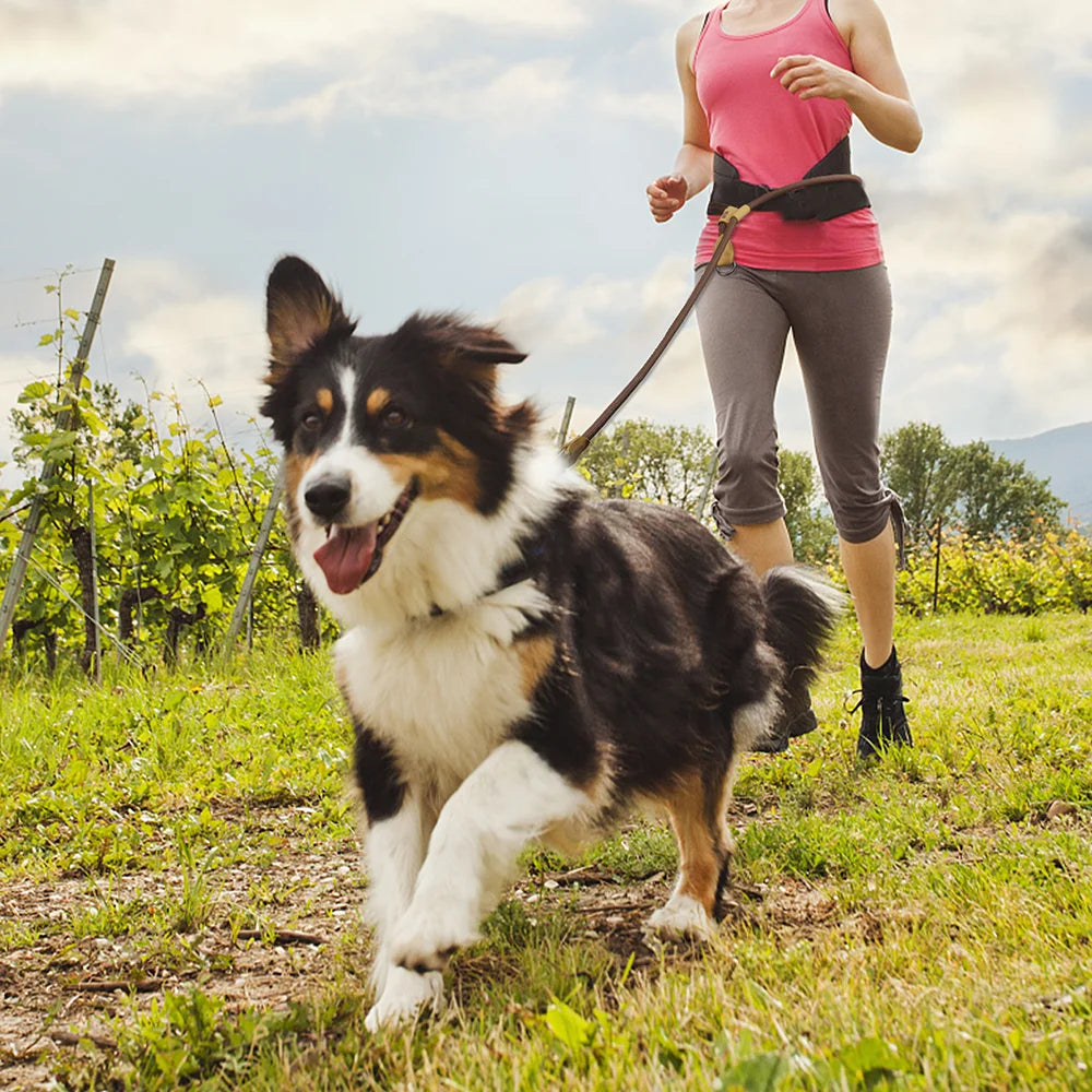 CURAPETS Hands-Free Running Dog Leash