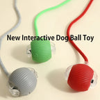 CURAPETS Smart Rolling Interactive Pet Ball
