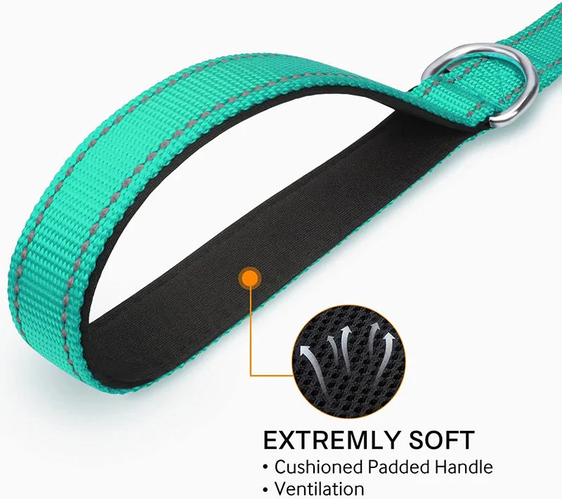 CURAPETS Night Reflective Training Lead Leash
