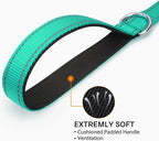 CURAPETS Night Reflective Training Lead Leash