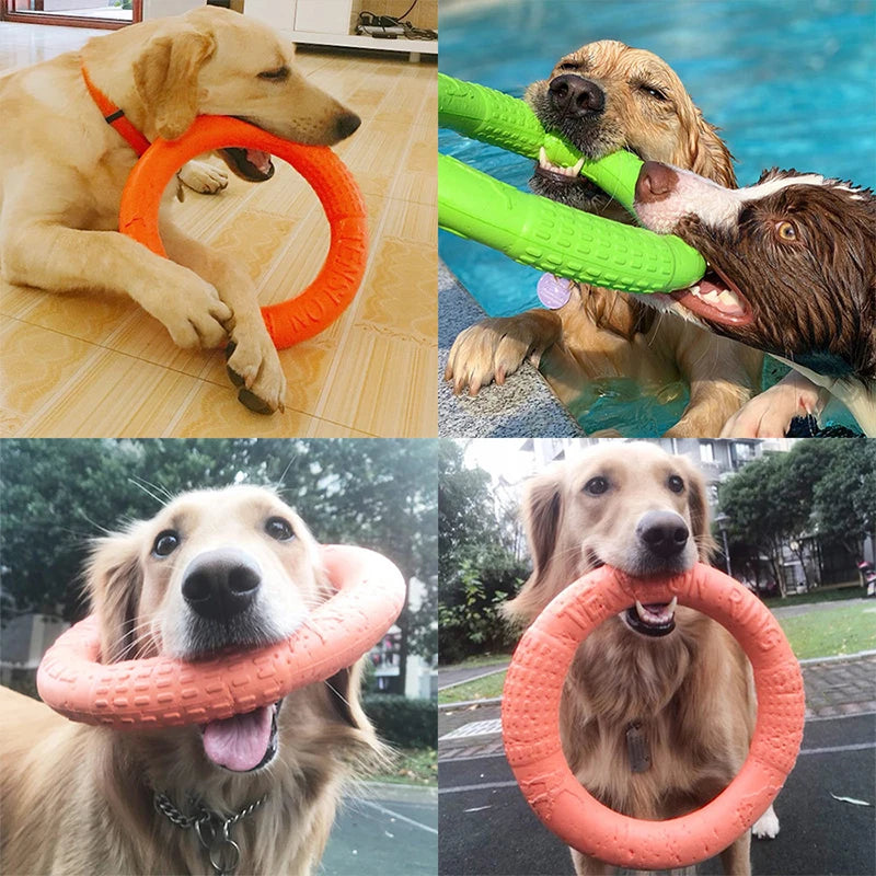 CURAPETS Ring Puller Dog Training Toy
