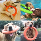 CURAPETS Ring Puller Dog Training Toy