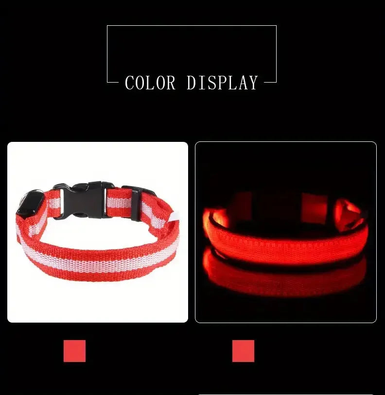 CURAPETS Luminous LED Night Safety Collar