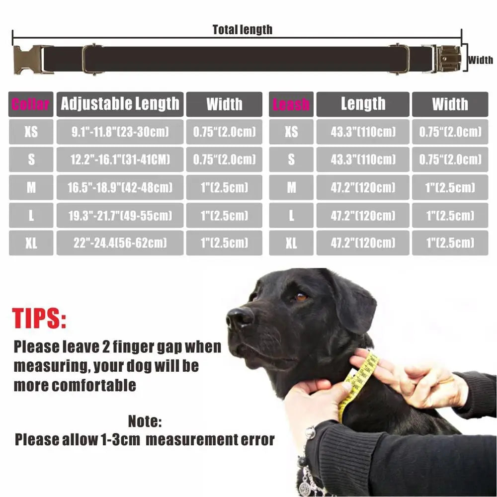 CURAPETS Signature Plaid Personalized Collar Set