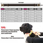 CURAPETS Signature Plaid Personalized Collar Set