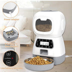 CURAPETS Smart Swirl Automatic Feeder