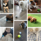 CURAPETS LumaBounce Interactive LED Toy Ball