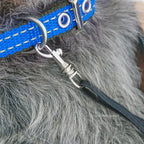 CURAPETS Cozy Sling Carrier for Small Pets
