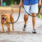 CURAPETS Night Reflective Training Lead Leash