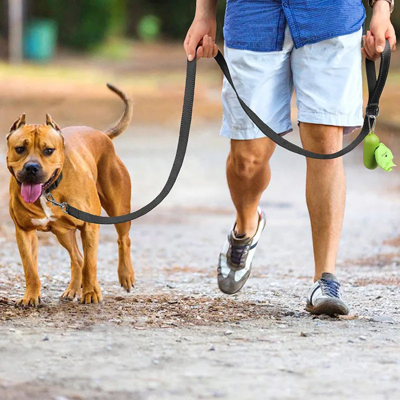 CURAPETS Night Reflective Training Lead Leash