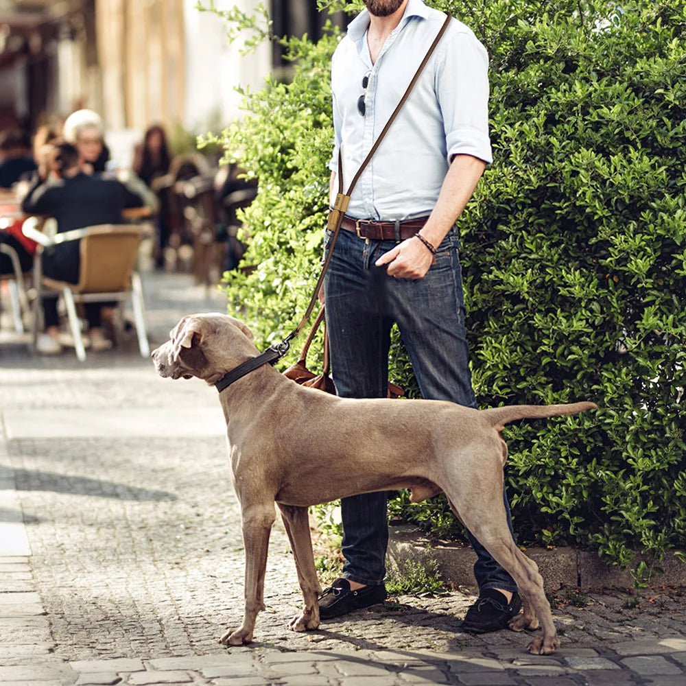 CURAPETS Hands-Free Running Dog Leash
