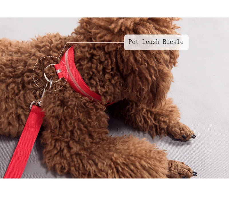 CURAPETS Luminous LED Night Safety Collar