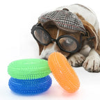 CURAPETS Squeaky Thorn Chew Toy