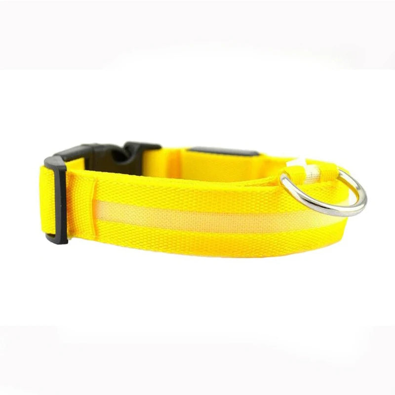 CURAPETS Luminous LED Night Safety Collar