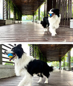 CURAPETS Squeaky TPR Dog Ball Toy