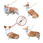 CURAPETS Braided Slip Rope Training Leash