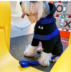 CURAPETS Everyday Harness & Leash Set