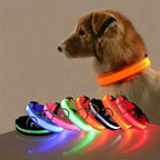 CURAPETS Luminous LED Night Safety Collar