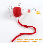 CURAPETS Smart Rolling Interactive Pet Ball