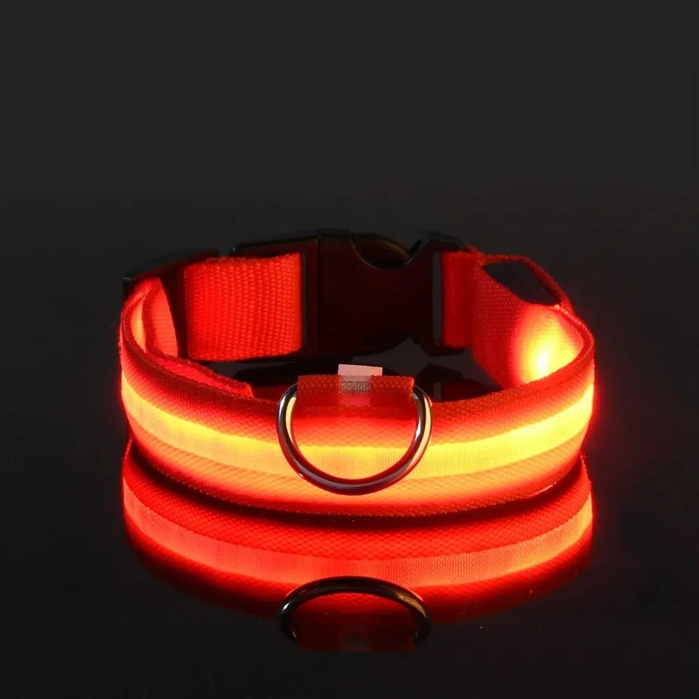 CURAPETS Luminous LED Night Safety Collar