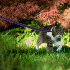 CURAPETS Dual-Color Long Training Leash