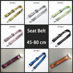 CURAPETS Everyday Harness & Leash Set