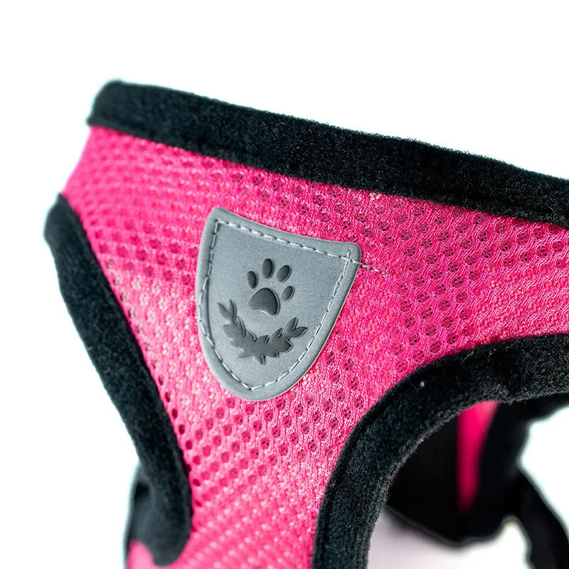 CURAPETS AirLite Summer Pet Harness & Leash Set