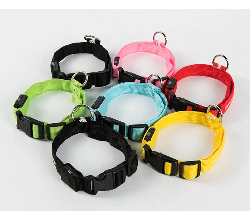 CURAPETS Luminous LED Night Safety Collar