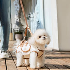 CURAPETS Outdoor Comfort Pet Carrier Bag