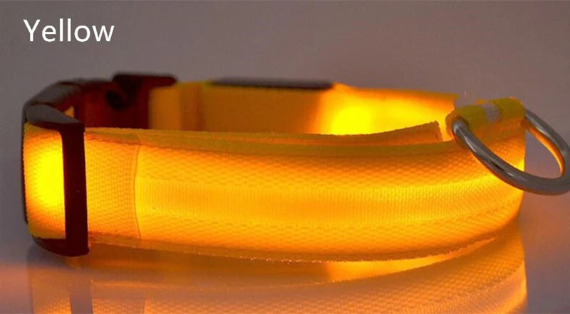 CURAPETS Luminous LED Night Safety Collar
