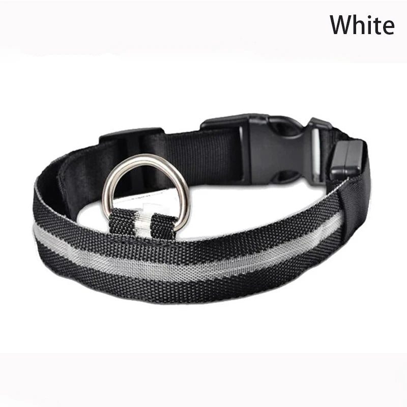 CURAPETS Luminous LED Night Safety Collar