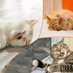 CURAPETS Natural Silvervine Cat Chew Sticks