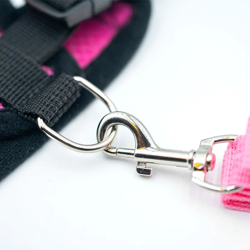 CURAPETS AirLite Summer Pet Harness & Leash Set