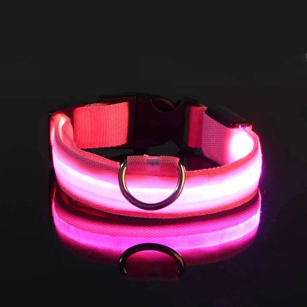 CURAPETS Luminous LED Night Safety Collar