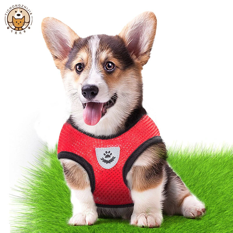 CURAPETS AirLite Summer Pet Harness & Leash Set