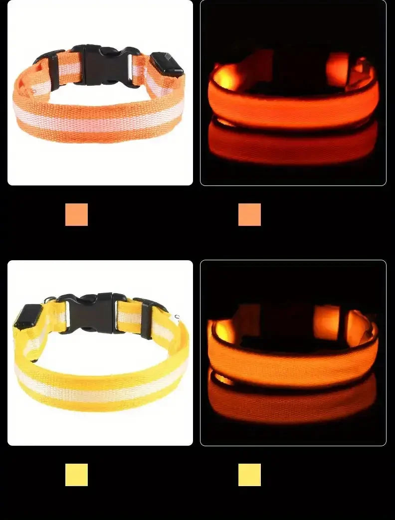 CURAPETS Luminous LED Night Safety Collar